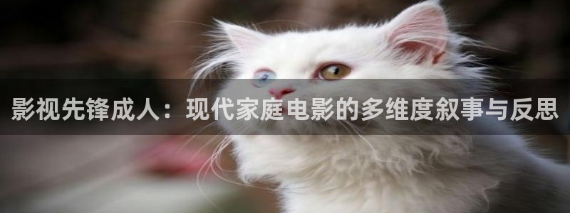 成人午夜免费在线网站