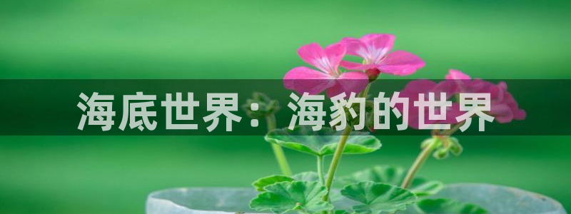 av午夜在线播放