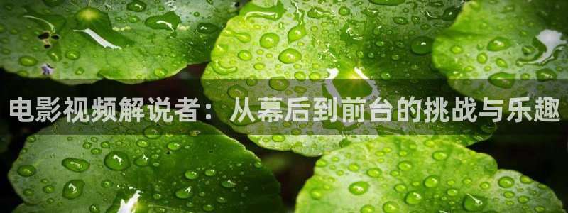 日韩午夜av在线