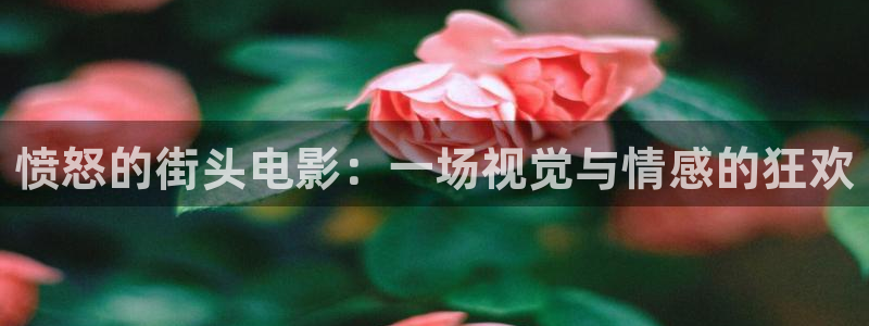 午夜免费电影网