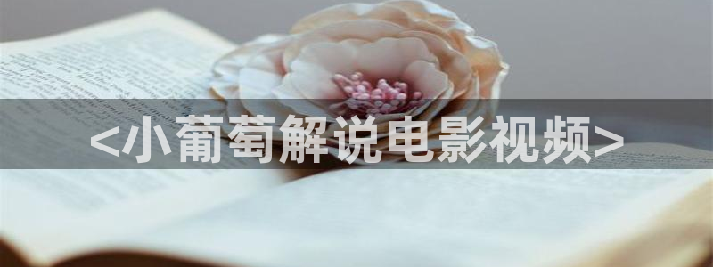 神马电影网午夜shi果