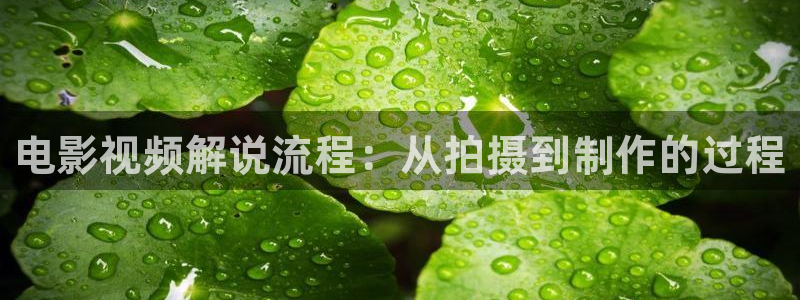 看看屋午夜伦理在线观看
