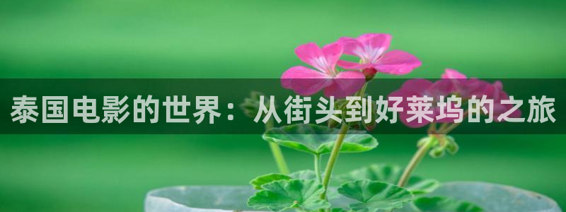 午夜小影院精品久久久