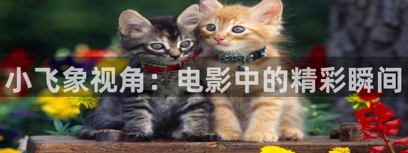 免费午夜在线