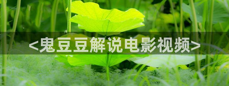 九七午夜电影网