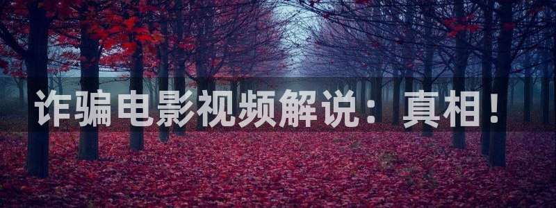 电影午夜巴士