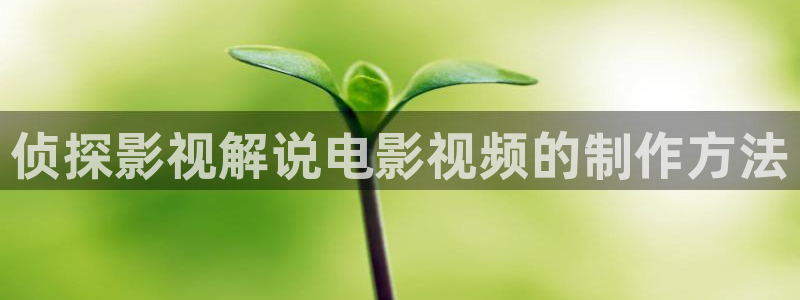 午夜在线观看视频