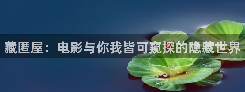欧美午夜 在线