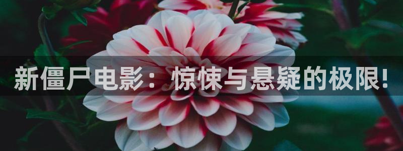 成人影院午夜男人的天堂