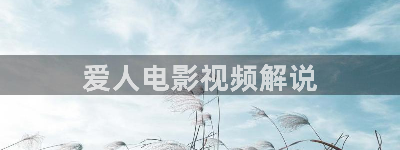 t v午夜电影网
