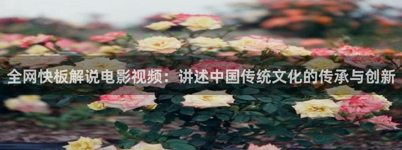 午夜aa影院