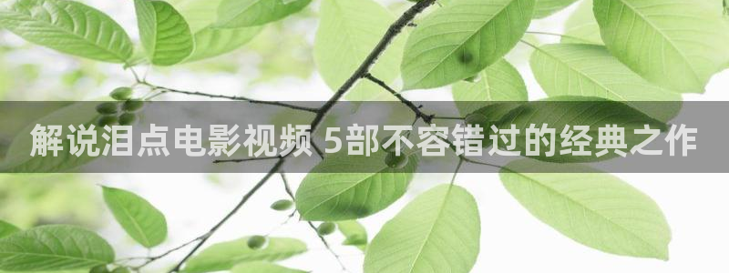 国产午夜一级一片免费播放