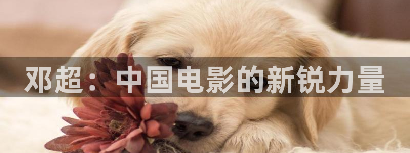 男人午夜天堂在线观看