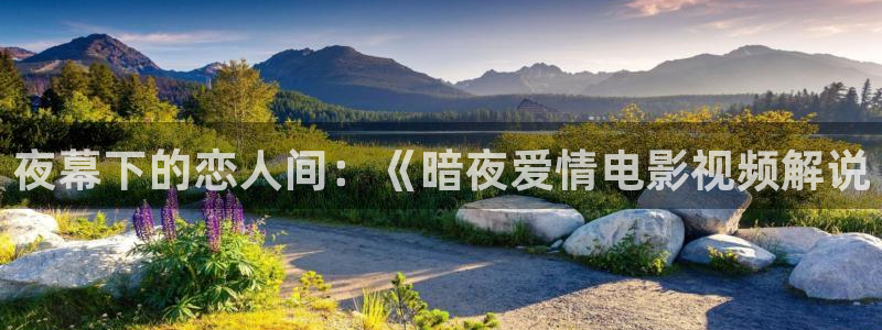 神马午夜伦理视频