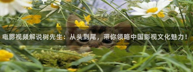 午夜夫妻免费影院