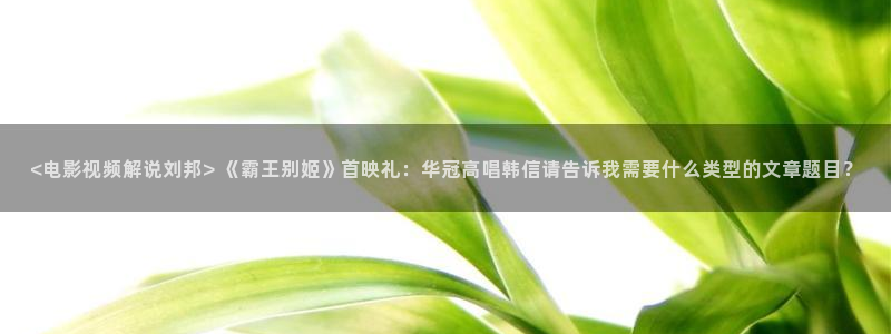 午夜理片