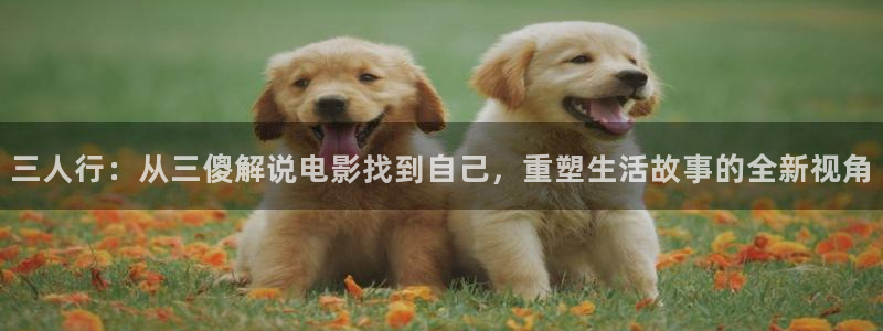 成年人的午夜影院