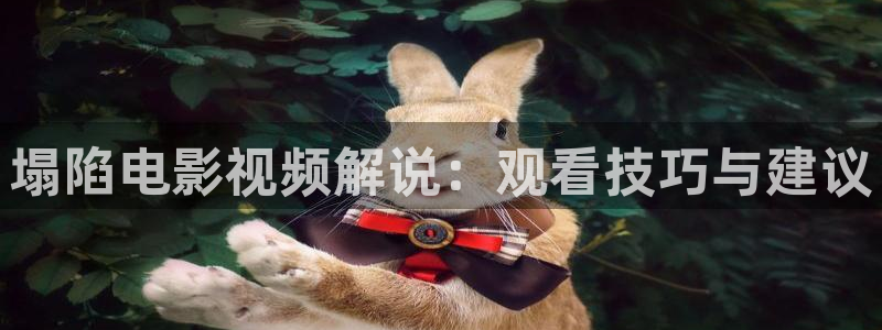 神马手机午夜电影