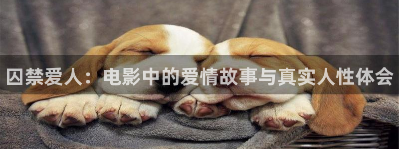 免费观看午夜毛片