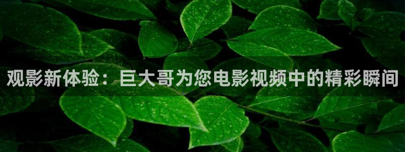 秋霞午夜三级电影