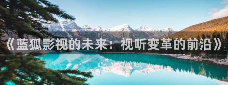 成年人黄色午夜电影