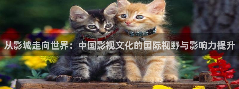 午夜av电影在线播放