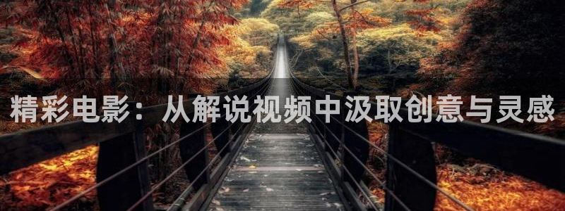 老子电影午夜电影