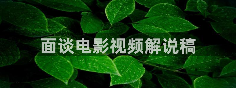 神马午夜电影在线免费观看