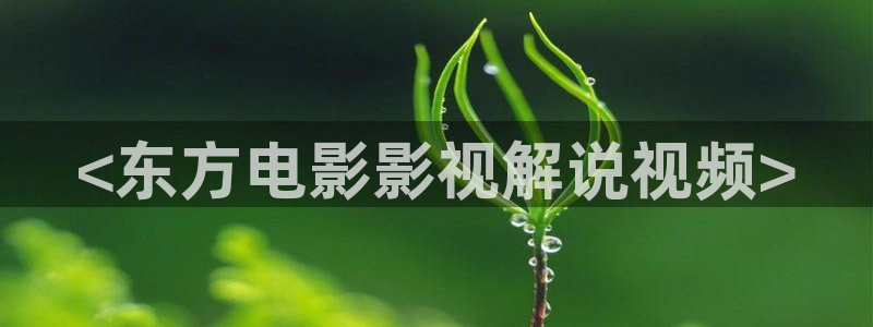 午夜免费成人大片