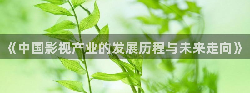 神马电影午夜达达兔