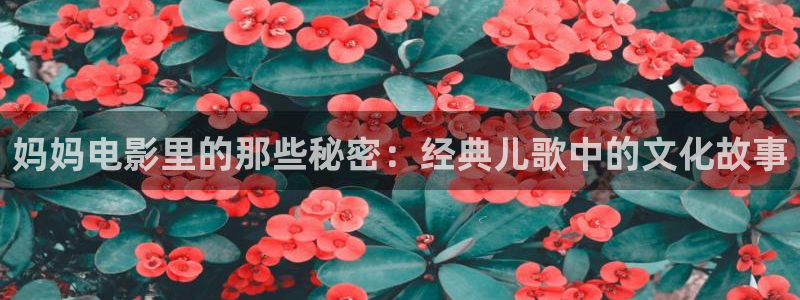 午夜aaa电影