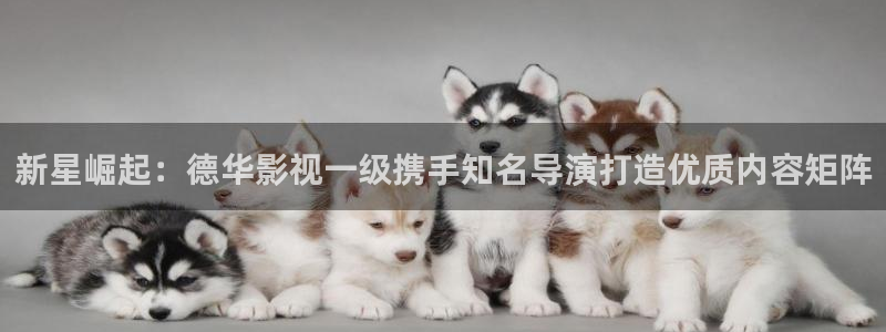 午夜av在线影院