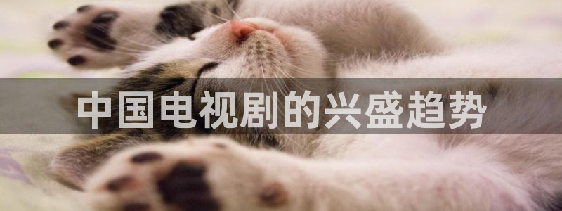 神马电影网午夜无为电影网午夜