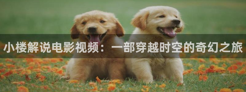 夫妻午夜电影视频