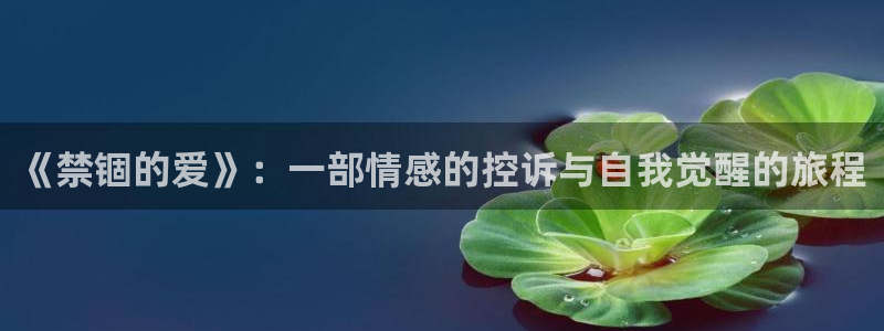 午夜免费大片在线观看