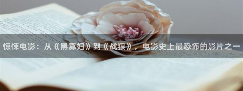 8050 午夜电影