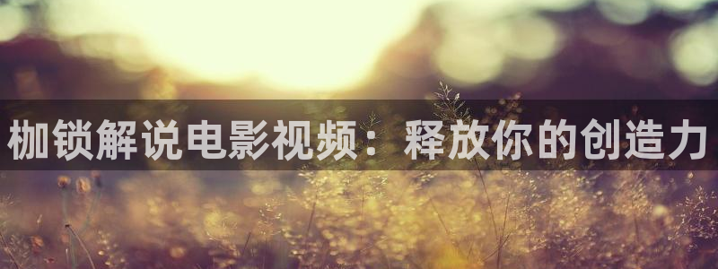 国产午夜电影免费在线观看