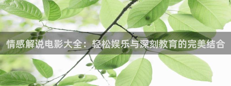 欧美午夜精品电影