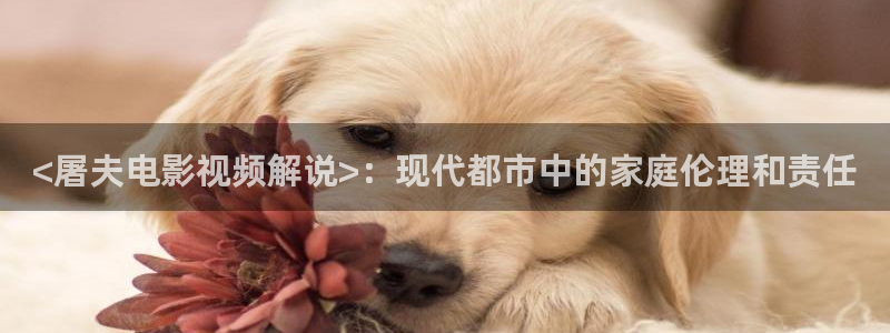 午夜电影动漫