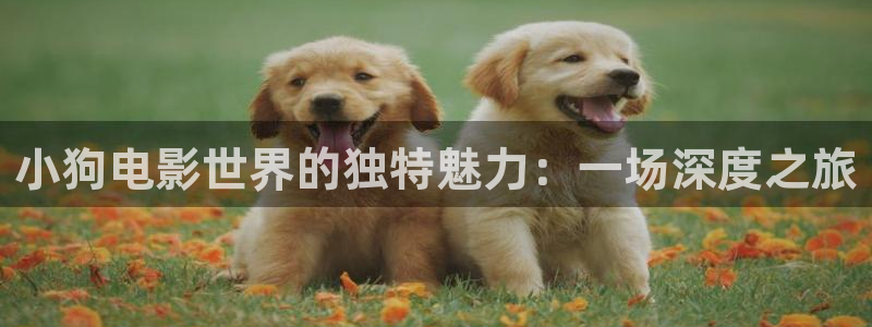午夜影院在线观看免费完整版