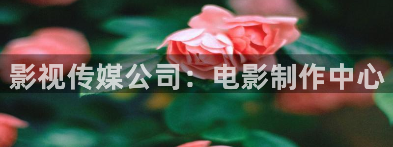 神马午夜伦理大香蕉
